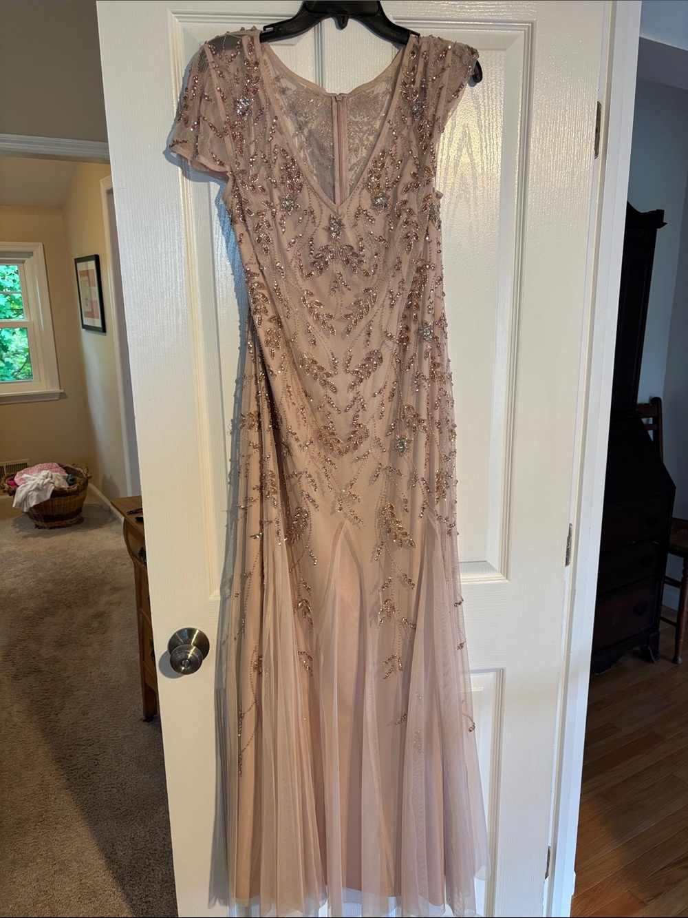 Adrianna Papell Elegant Blush Beaded Evening Dress size 18